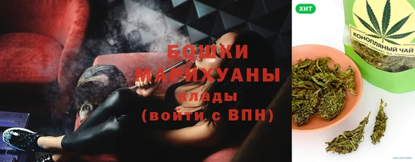 ПСИЛОЦИБИНОВЫЕ ГРИБЫ Горнозаводск