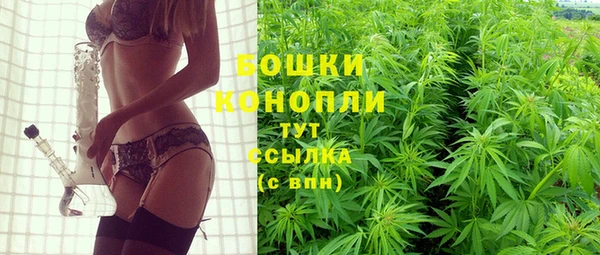 гидра Горно-Алтайск