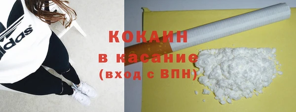 ПСИЛОЦИБИНОВЫЕ ГРИБЫ Горнозаводск