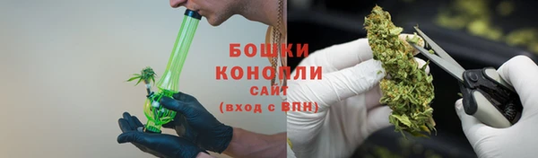 гидра Горно-Алтайск