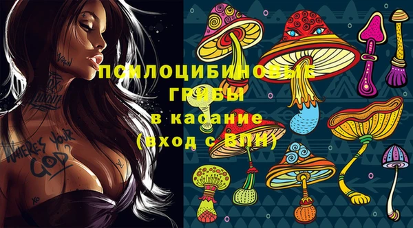 гидра Горно-Алтайск