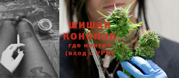 гидра Горно-Алтайск