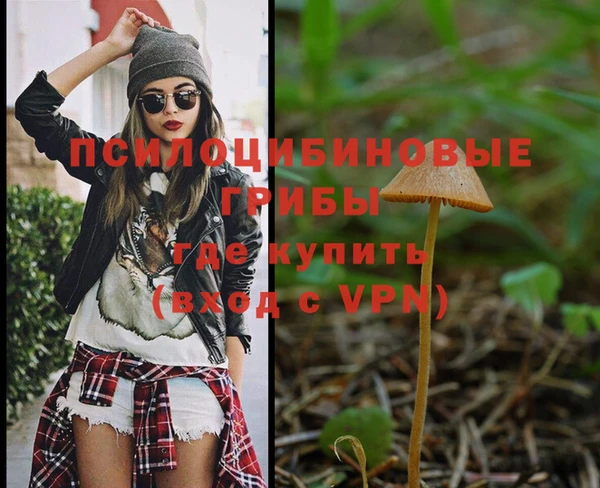 скорость Дмитриев