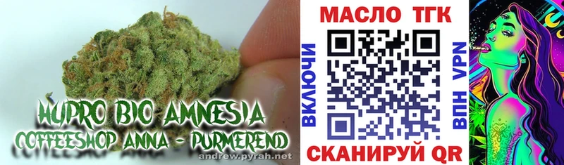 Купить  Тырныауз  Дистиллят ТГК THC oil 