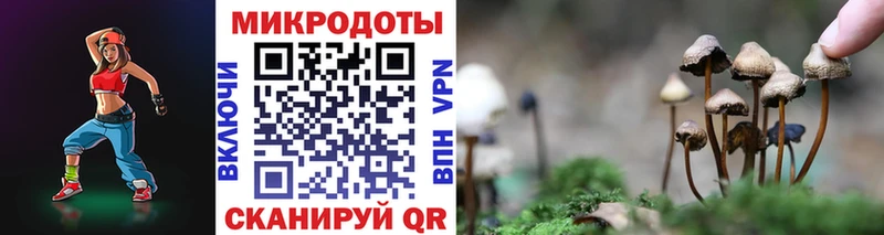 Купить закладки  Тырныауз  Псилоцибиновые грибы мухоморы 